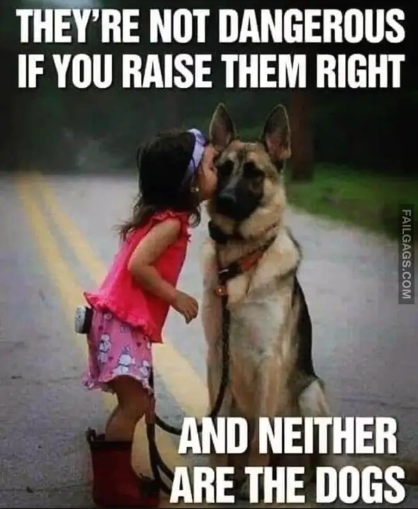 12 Wholesome Dog Memes of German Shepherds Being Sweet Bundles of Cuddles (10)