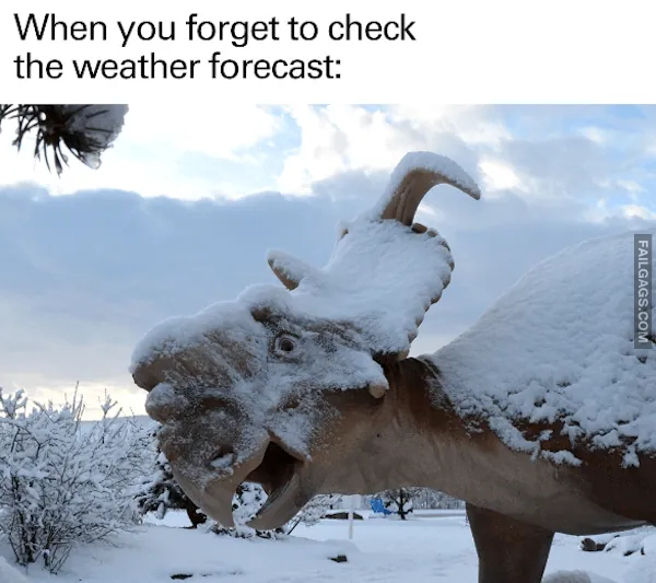 13 Dinosaur Memes That'll Make Your Boredom Go Extinct (10)