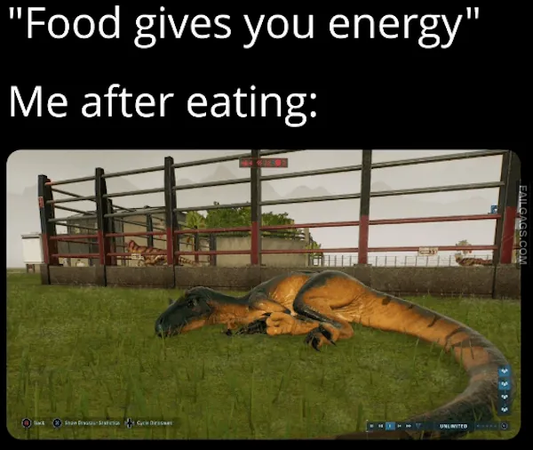 13 Dinosaur Memes That'll Make Your Boredom Go Extinct (9)