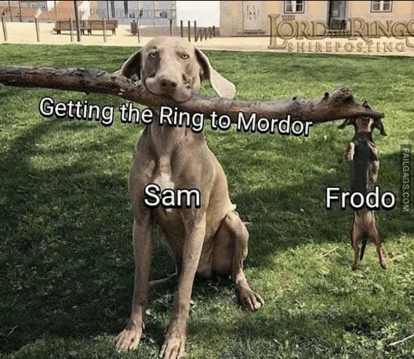 13 Funny Lord of the Rings Memes From the Depths of Moria (13)