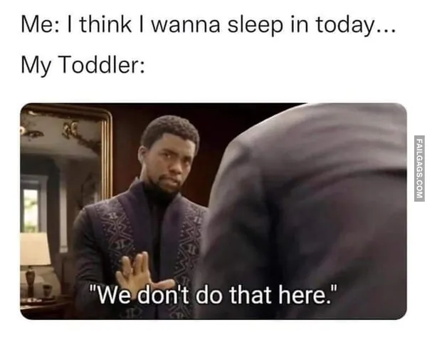 13 Funny Memes That Are as Random as They Are Hilarious (12)