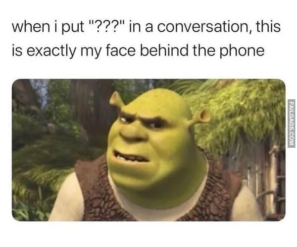 13 Funny Memes That Are as Random as They Are Hilarious (13)