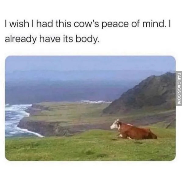 13 Funny Memes That Are as Random as They Are Hilarious (5)