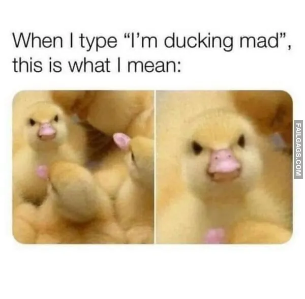 13 Funny Memes That Are as Random as They Are Hilarious (7)