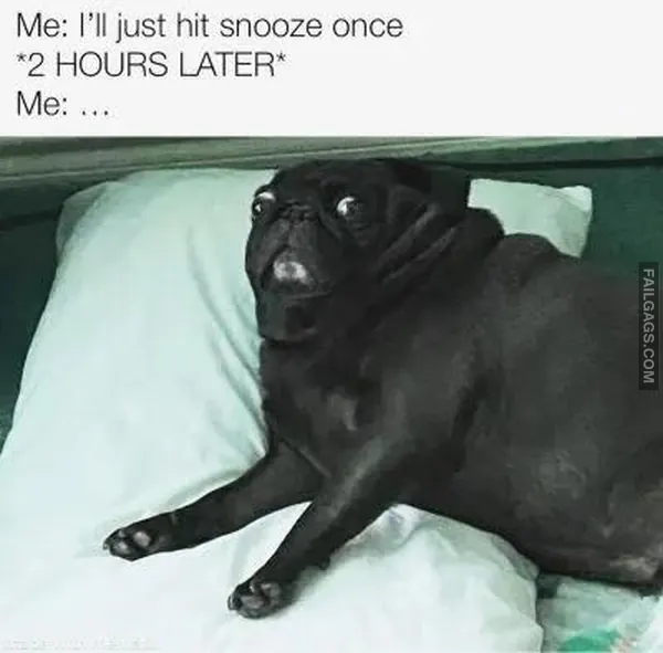13 Funny Sleep Memes That Anyone Can Relate to (3)