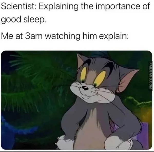 13 Funny Sleep Memes That Anyone Can Relate to (5)