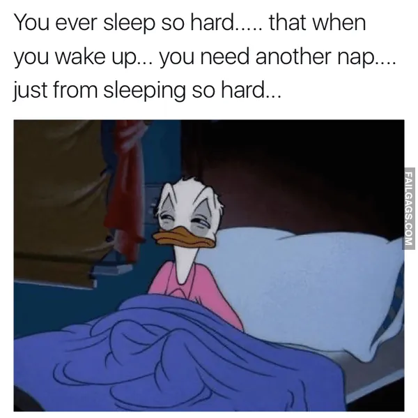 13 Funny Sleep Memes That Anyone Can Relate to (6)