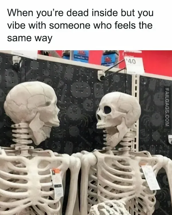 13 Introverted Memes Every Introvert Will Relate to (12)