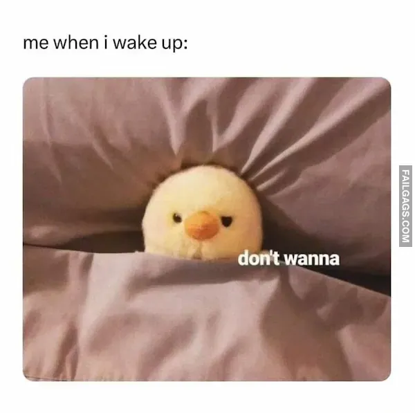 13 Introverted Memes Every Introvert Will Relate to (2)