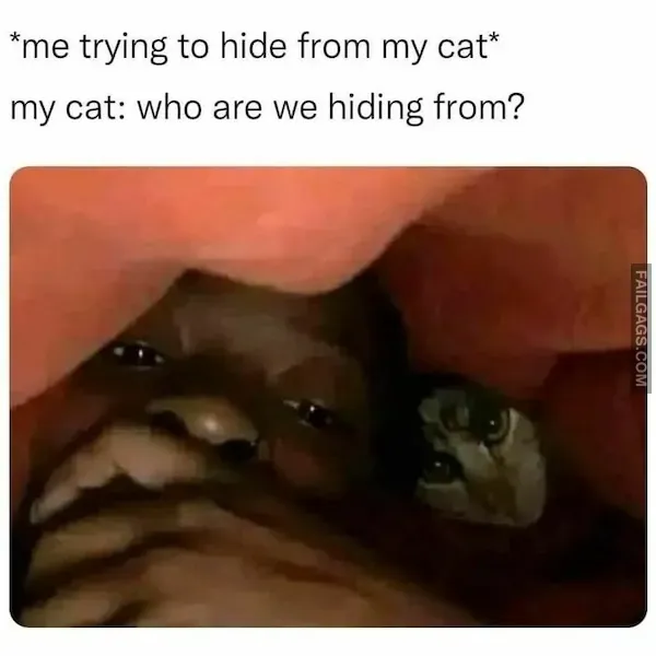 13 Introverted Memes Every Introvert Will Relate to (4)