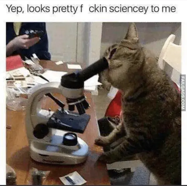 14 Painfully Accurate Animal Memes for Introverts (13)