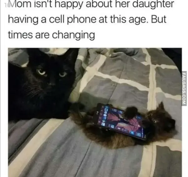 14 Painfully Accurate Animal Memes for Introverts (14)