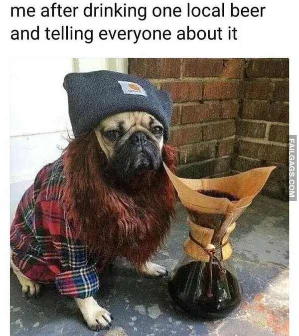 14 Painfully Accurate Animal Memes for Introverts (2)