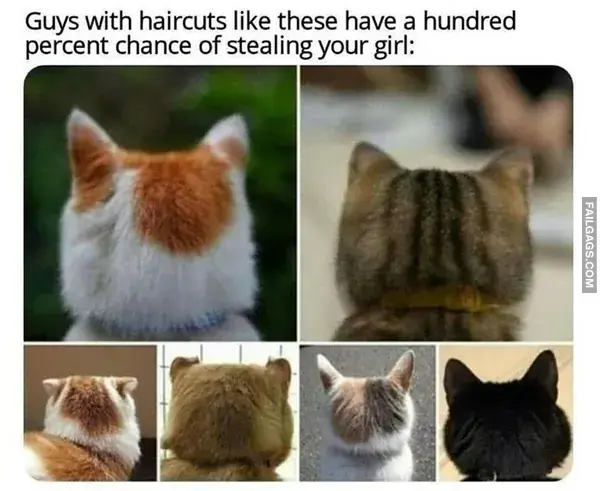 14 Painfully Accurate Animal Memes for Introverts (5)