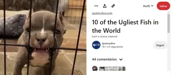 14 People Who Had One Job and Still Failed (11)