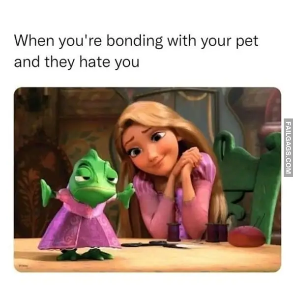 15 Hilariously Disney Memes That Will Keep You Laughing for Hours (14)