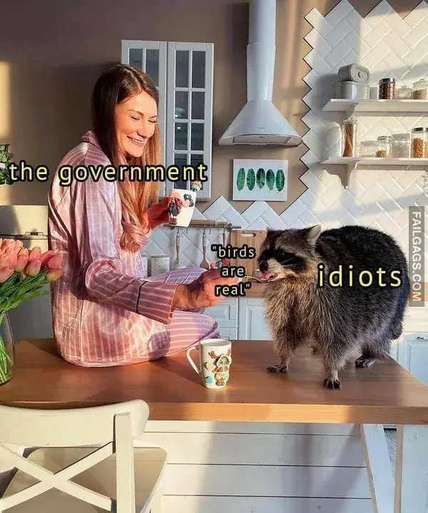 16 Funny Raccoon Memes for Anyone Who Just Loves Those Little Trash Pandas (10)