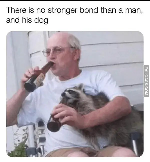 16 Funny Raccoon Memes for Anyone Who Just Loves Those Little Trash Pandas (11)