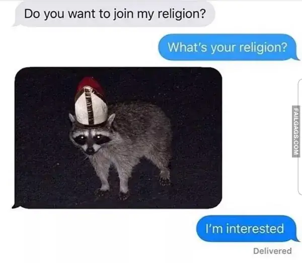 16 Funny Raccoon Memes for Anyone Who Just Loves Those Little Trash Pandas (12)