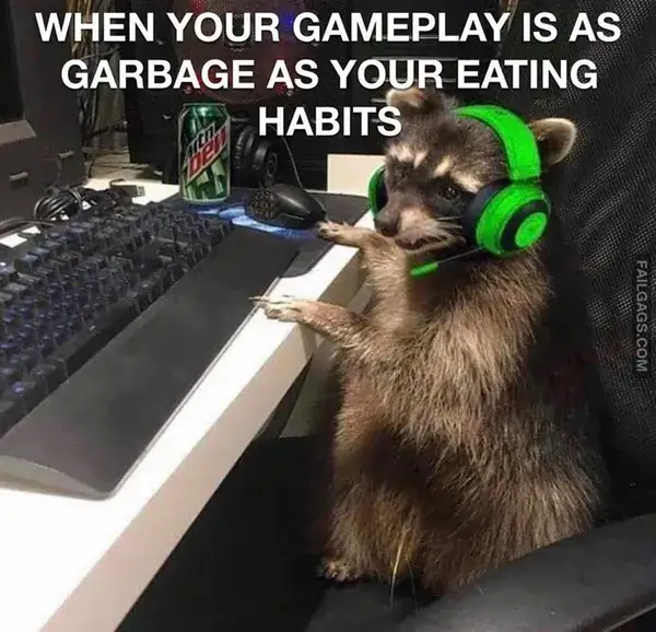 16 Funny Raccoon Memes for Anyone Who Just Loves Those Little Trash Pandas (13)