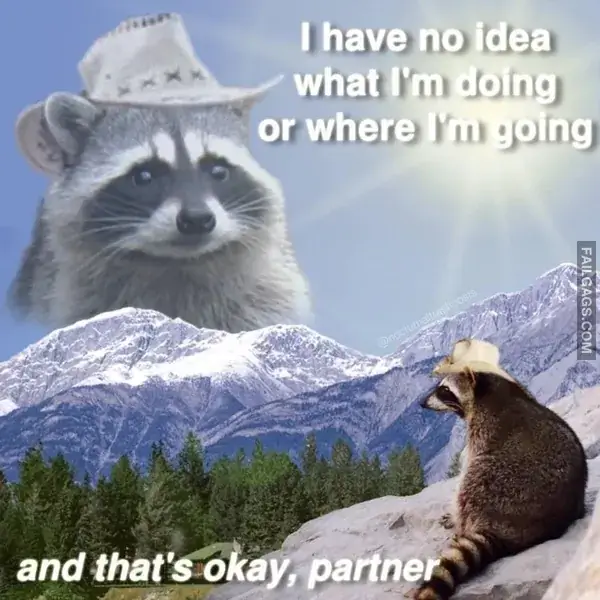 16 Funny Raccoon Memes for Anyone Who Just Loves Those Little Trash Pandas (15)