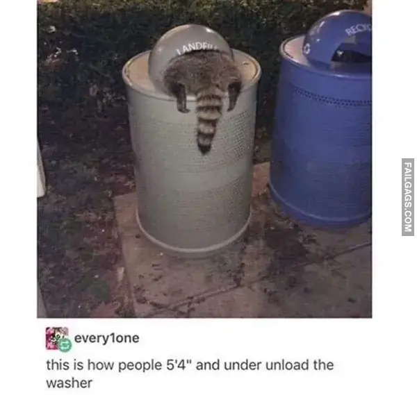 16 Funny Raccoon Memes for Anyone Who Just Loves Those Little Trash Pandas (3)