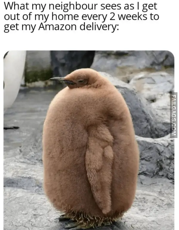 11 Introvert Memes That Will Speak Your Mind for You (6)