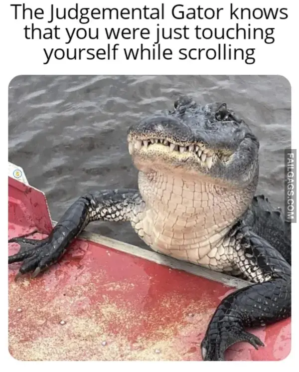 12+ Dank Memes for the Shamelessly Silly (8)