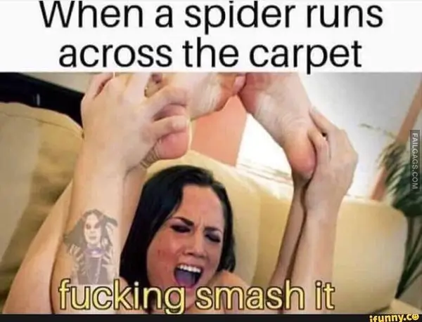 12 NSFW Memes to Send to Someone You're Already Banging (10)