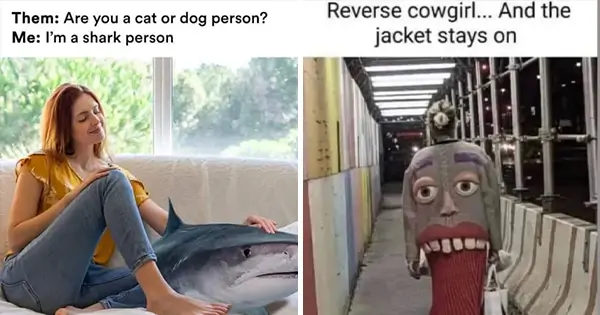 13 Funny Memes to Tickle Your Funny Bone Today (1)