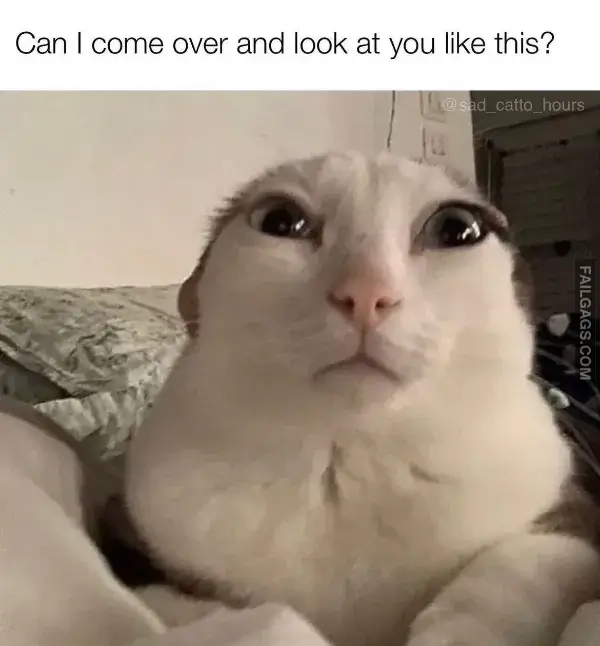 13 Funny Memes to Tickle Your Funny Bone Today (3)