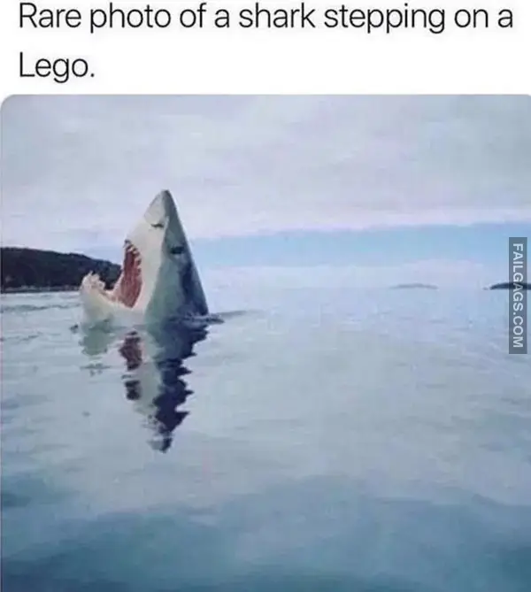 13 Hilarious Nailed It Memes (5)