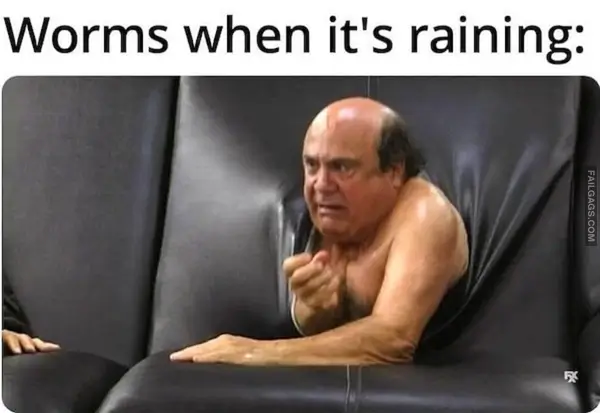 13 Hilarious Nailed It Memes (8)